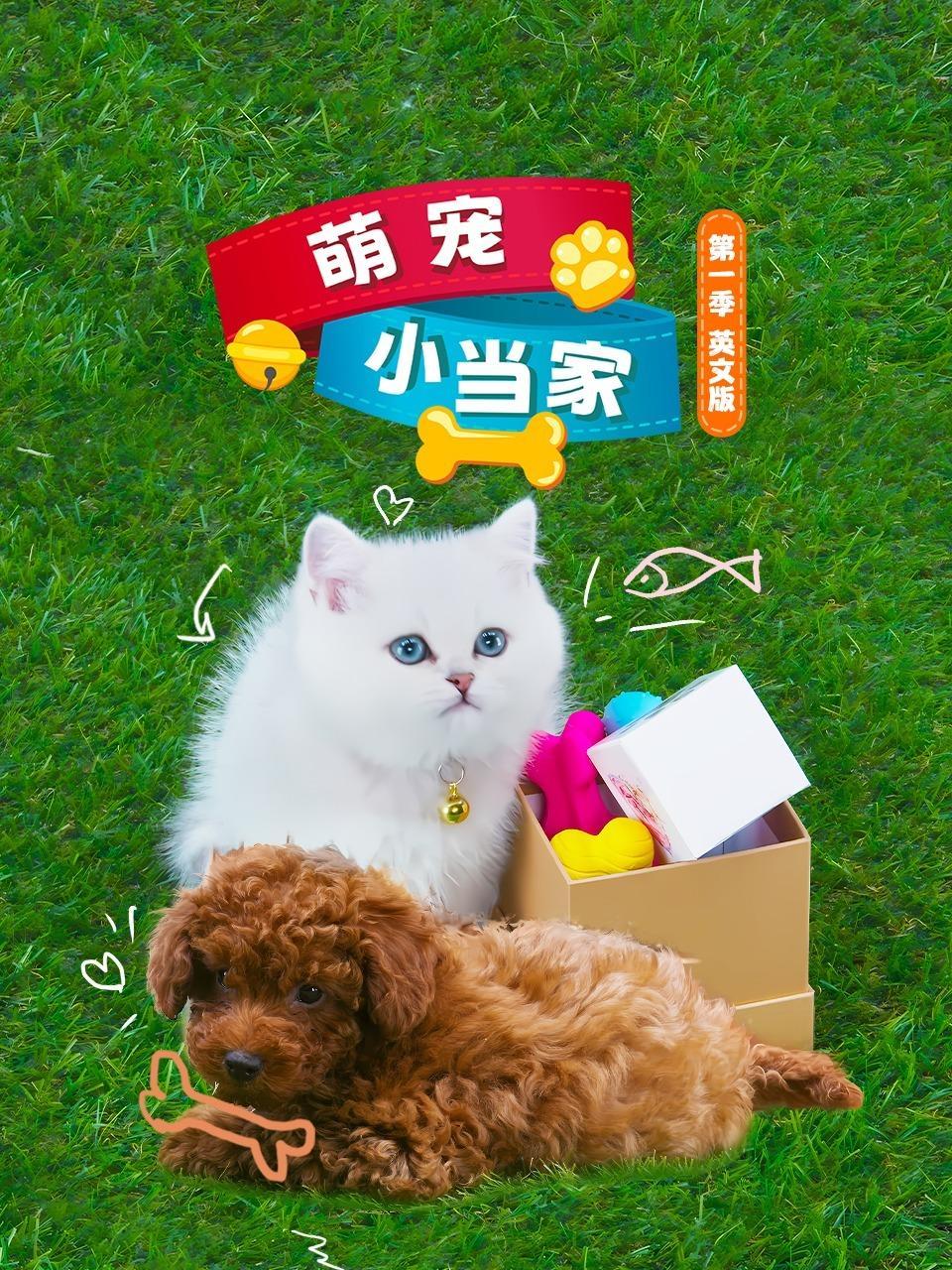 萌宠小当家 第一季 英文版 海报