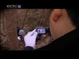 天网 天网 2010年 第133期 致命的邂逅