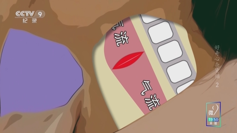 好奇心杂货铺 《好奇心杂货铺》 第2集 声带的极限挑战