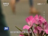 见证 《见证》 20160827 电信诈骗启示录（一）真假警察
