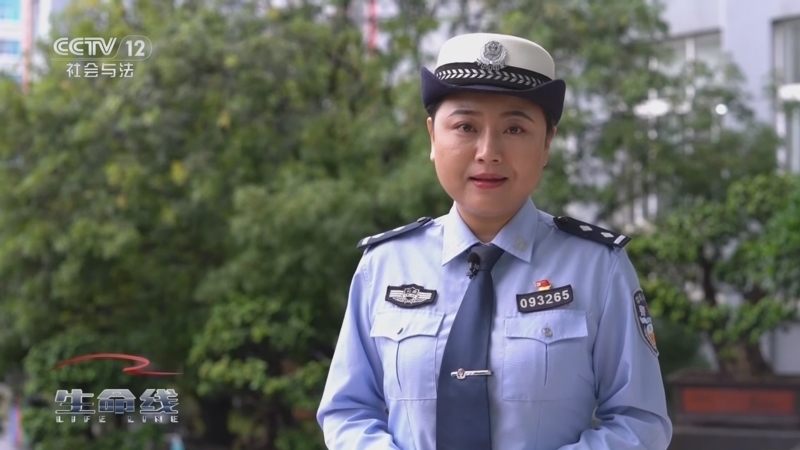 生命线 《生命线》 20240827