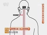 健康到我家 《健康到我家》 20170819 刮痧降压四步走