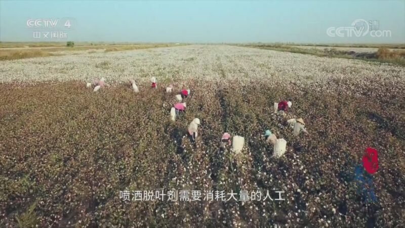 《智造美好生活》 第五集 深赋能