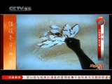 风华国乐 风华国乐 2010年 第314期