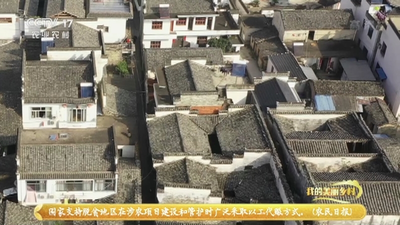 《我的美丽乡村》 20210325 西溪南人的诗意栖居