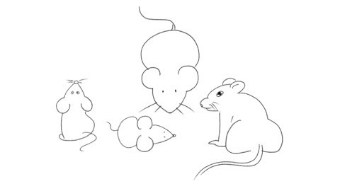 白白侠画画 简笔画：老鼠（十二生肖之首）