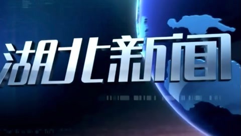 湖北新闻20211219