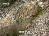 地理中国 《地理中国》 20160929 山顶上的学堂