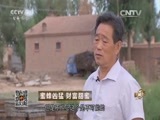 致富经 《致富经》 20151008 蜜蜂凶猛 财富甜蜜