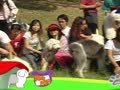 狗狗日记 第260天 奇怪的声音