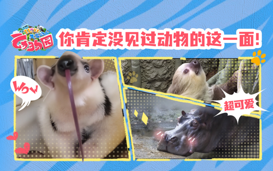 动物们不为人知的另一面！