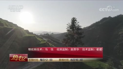 热线12 《热线12》 20191003