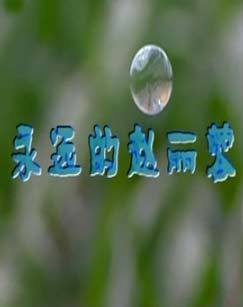 永远的赵丽蓉 海报