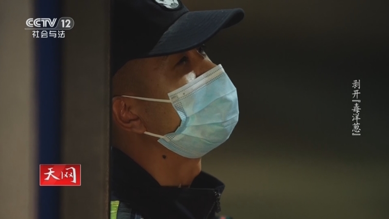 天网 《天网》 20240829 剥开“毒洋葱”