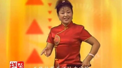 河南坠子 朱云阁 坠子书 王华后传