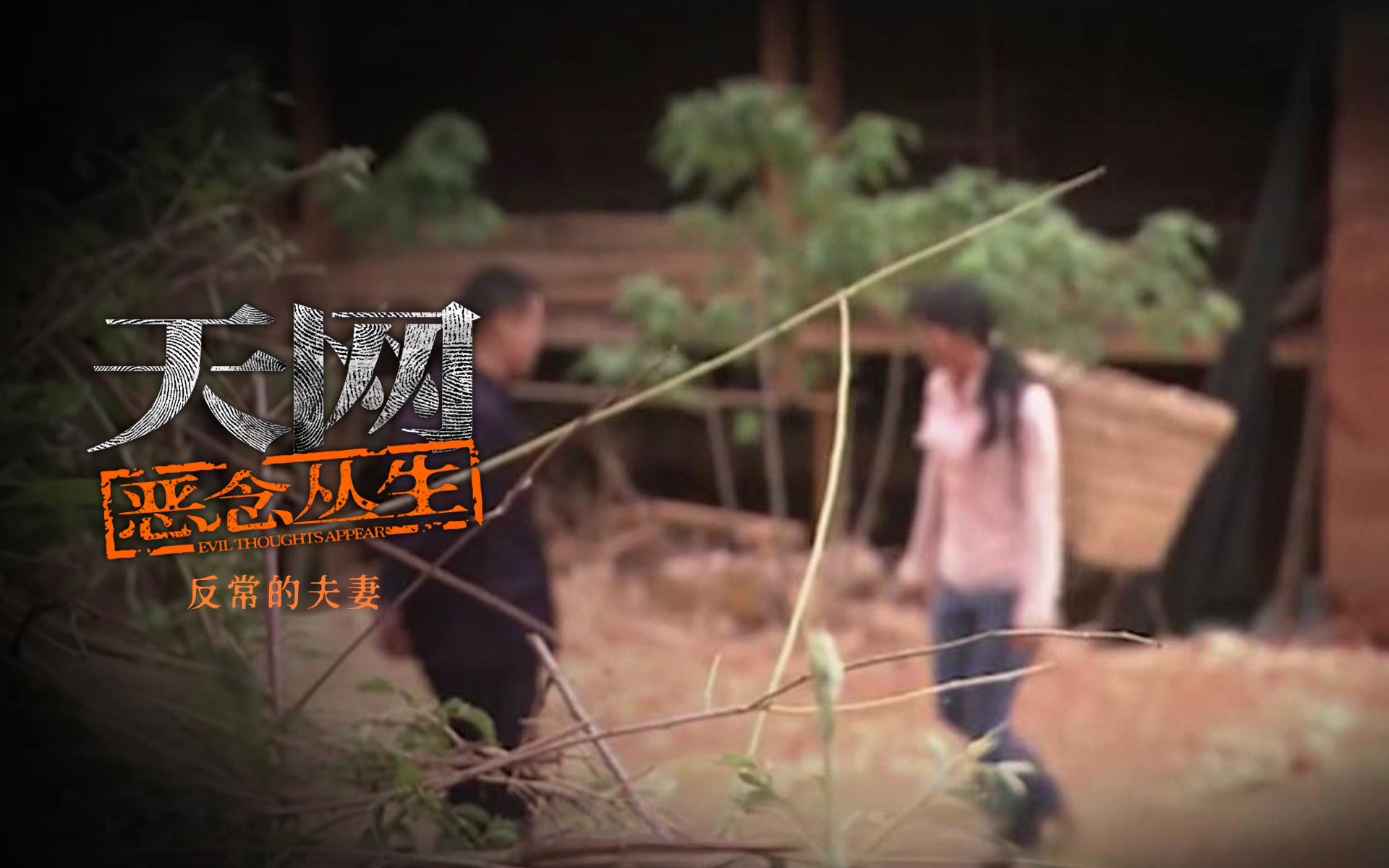 天网：恶念丛生 反常的夫妻
