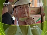 走近科学 《走近科学》 20160706 哈密瓜之旅