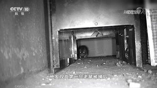 我爱发明 《我爱发明》 20181110 连环灭鼠记