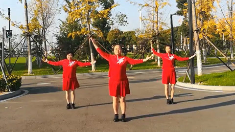 广场舞 广场舞《点赞新时代》