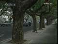 夕阳红 [夕阳红]百岁传奇——尹秀英(2009.09.11)
