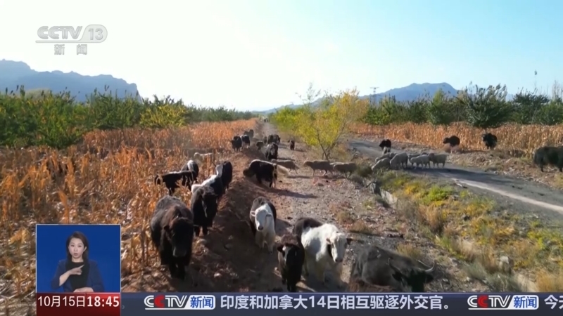 共同关注 《共同关注》 20241015