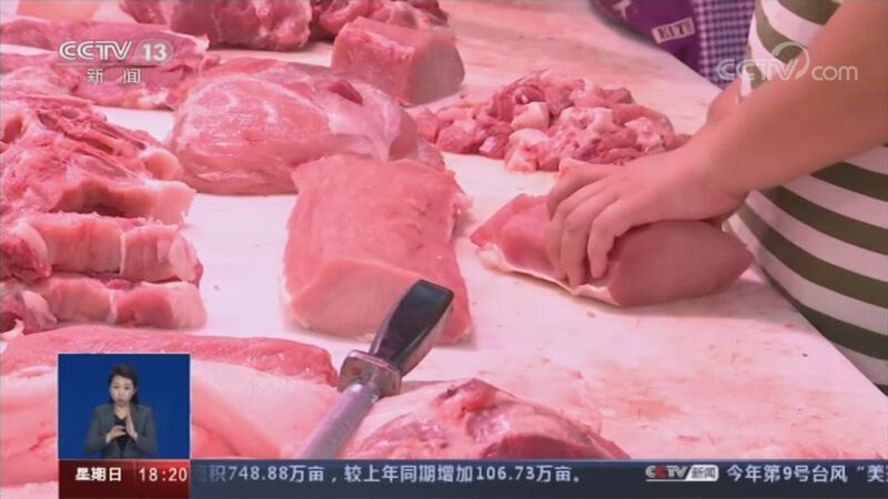 共同关注 《共同关注》 20200830