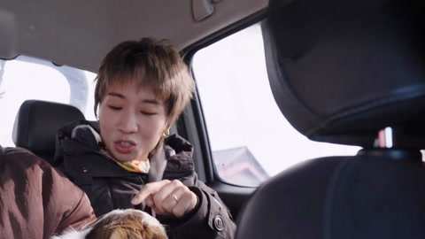 小鹿喜剧人DNA动了 车上爆梗“羊抖”