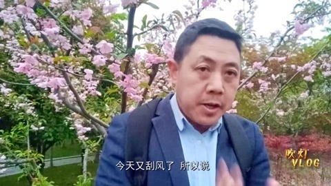 唱罢吹灯 这里的樱花让人陶醉，而且还是免费观看，你想去看看嘛