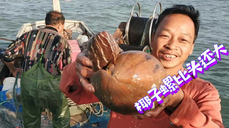 南澳岛赶海日记 小伙海捕螃蟹龙虾爆网，还意外收获10几年的椰子螺，感觉快成精了