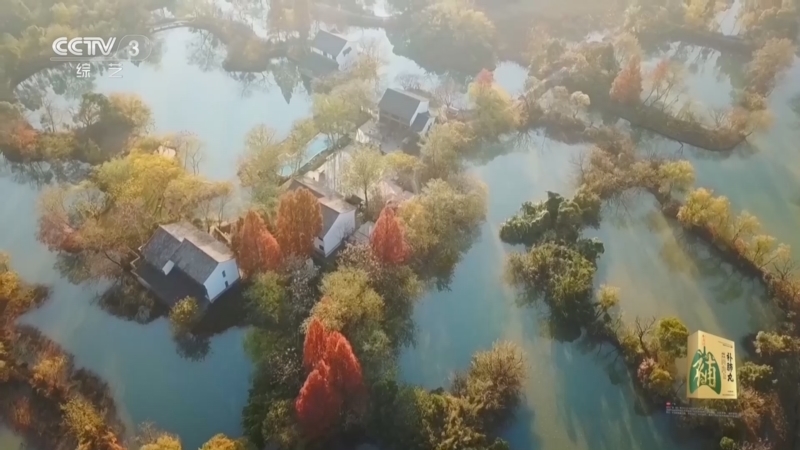 《文化十分》 20251201