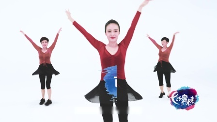 风吹麦浪-李莹（导视）