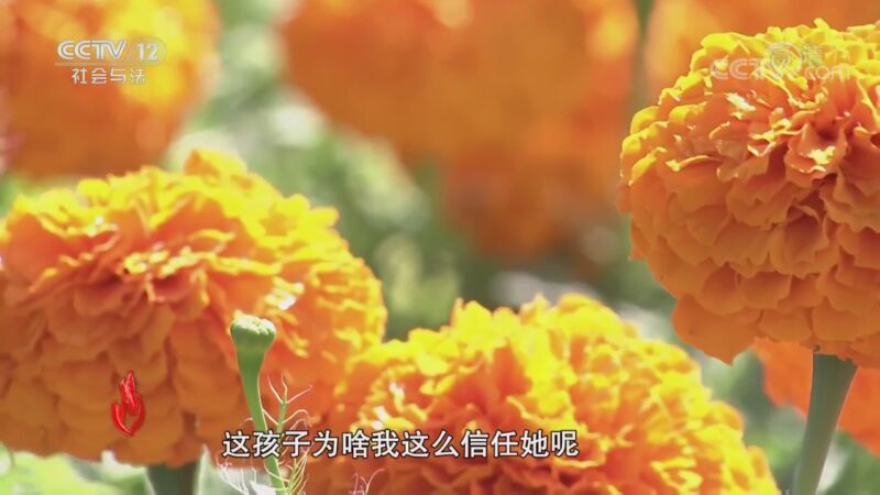 道德观察 《道德观察(日播版)》 20200921 天下掉下个干女儿