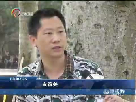 新视野 《新视野》 20140519