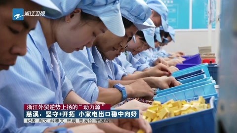 浙江新闻联播 慈溪:坚守+开拓小家电出口稳中向好