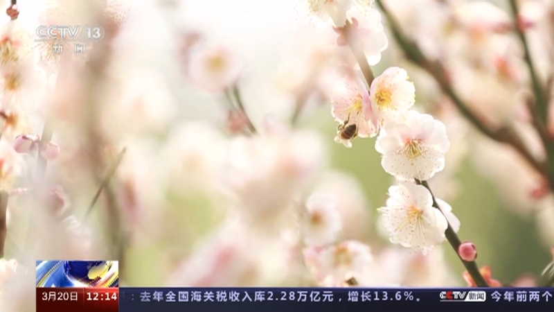 新闻30分 《新闻30分》 20230320