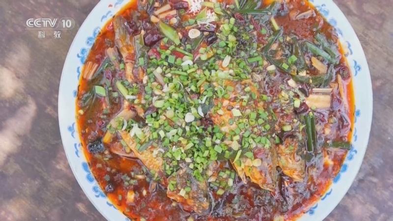 味道 《味道》 20260813 暑期美食纪（25）