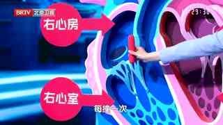 养生堂_20260409_小心会跟着心脏“跳动”的致命隐患