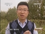 生财有道 《生财有道》 20130518 向戈壁滩进军的种枣人