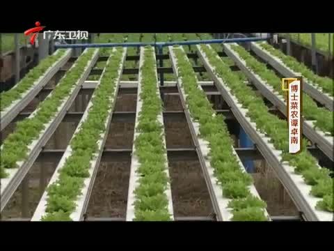 凡人大爱 《凡人大爱》 20150212 博士菜农谭卓南