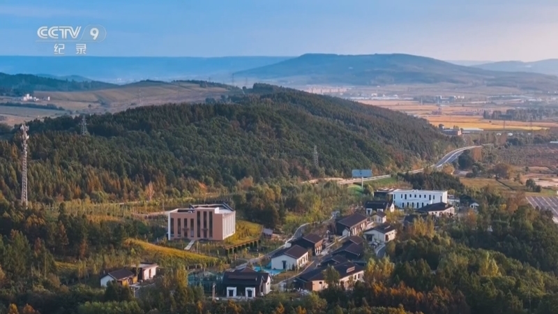 《夏天的故事 第二季》 第6集 二蛋历险记