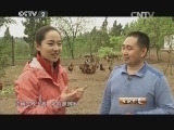 生财有道 《生财有道》 20140423 从亏损百万到年入千万