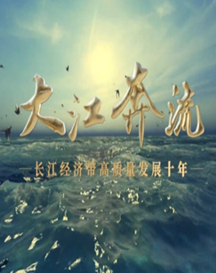 大江奔流&mdash;&mdash;长江经济带高质量发展十年 海报