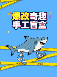 爆改奇趣手工盲盒