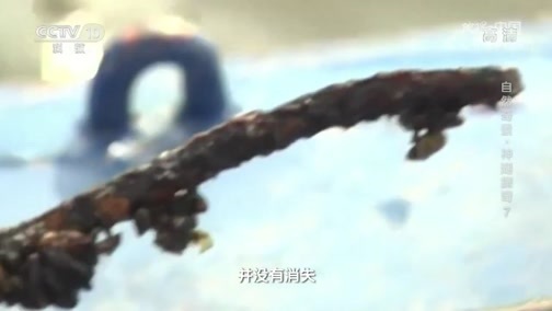 地理中国 《地理·中国》 20191208 自然奇景·神湖探奇7