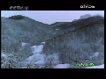 人与自然 狼山传奇 上