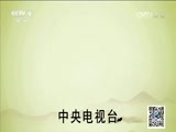 《万象》 20141001 茶·一片树叶的故事 第三集 烧水煮茶的事