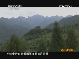 远方的家 百山百川行 第六十一集 徒步武当山《远方的家》 20130715