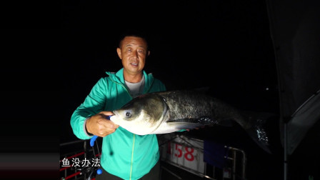 升钟湖比赛上鱼高光时刻 连上两尾大家伙