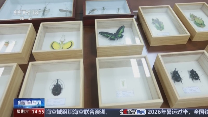 新闻直播间 《新闻直播间》 20260801 14:00