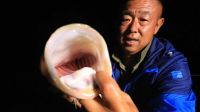 游钓中国 第二季 第15集 夜守清江